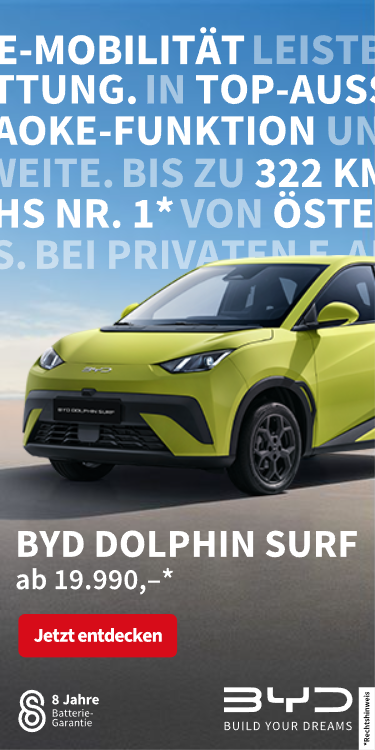BYD Dolphin Surf